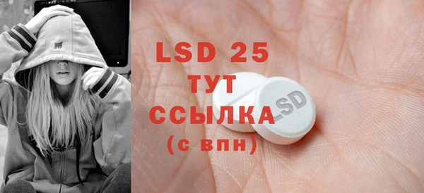 PSILOCYBIN Аркадак