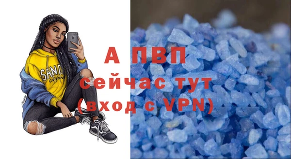 PSILOCYBIN Аркадак